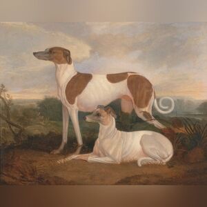 Two Greyhounds in a Landscape- Decorative Pet Portrait Print